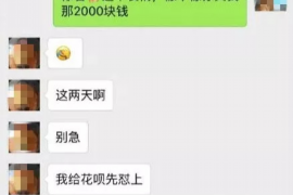 陇南债务清欠服务